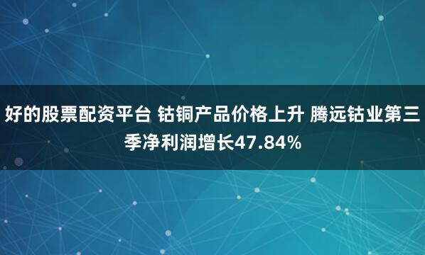 好的股票配资平台 钴铜产品价格上升 腾远钴业第三季净利润增长47.84%