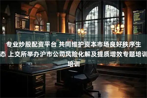 专业炒股配资平台 共同维护资本市场良好秩序生态 上交所举办沪市公司风险化解及提质增效专题培训