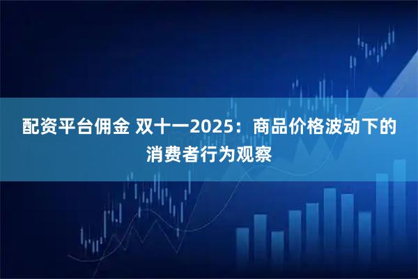 配资平台佣金 双十一2025：商品价格波动下的消费者行为观察