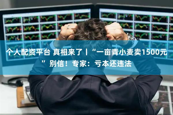 个人配资平台 真相来了丨“一亩青小麦卖1500元” 别信！专家：亏本还违法